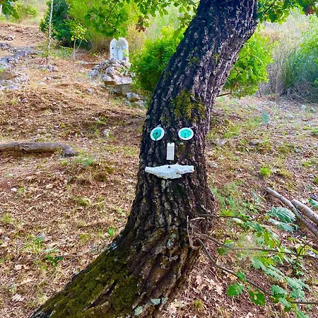 Lejlighed Il Vecchio Gelso *