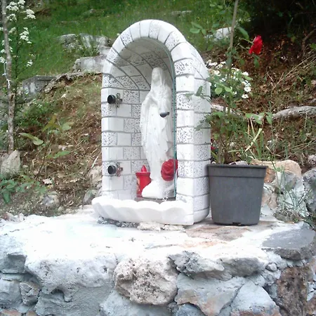 Il Vecchio Gelso Palinuro