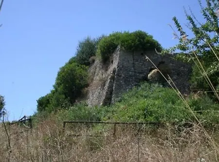 Il Vecchio Gelso Palinuro