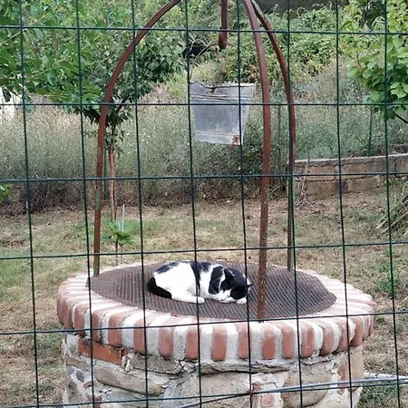 Il Vecchio Gelso Lejlighed