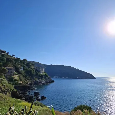 Il Vecchio Gelso