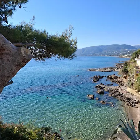 Il Vecchio Gelso Palinuro