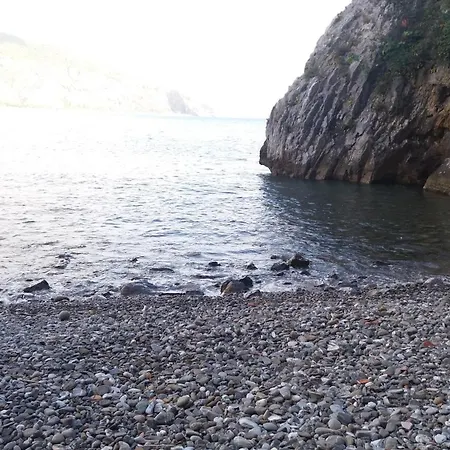 Il Vecchio Gelso * Palinuro