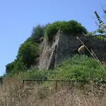 Il Vecchio Gelso Palinuro