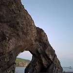 Il Vecchio Gelso