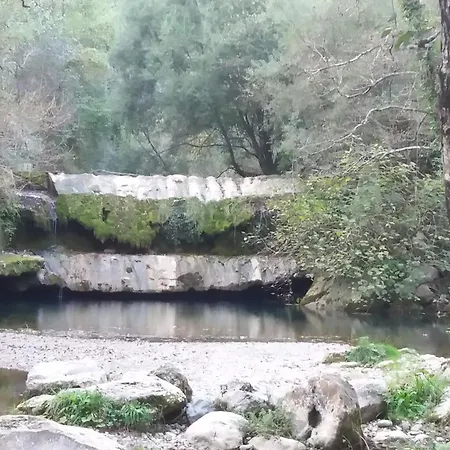 Il Vecchio Gelso * Palinuro