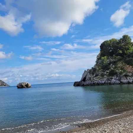 Il Vecchio Gelso